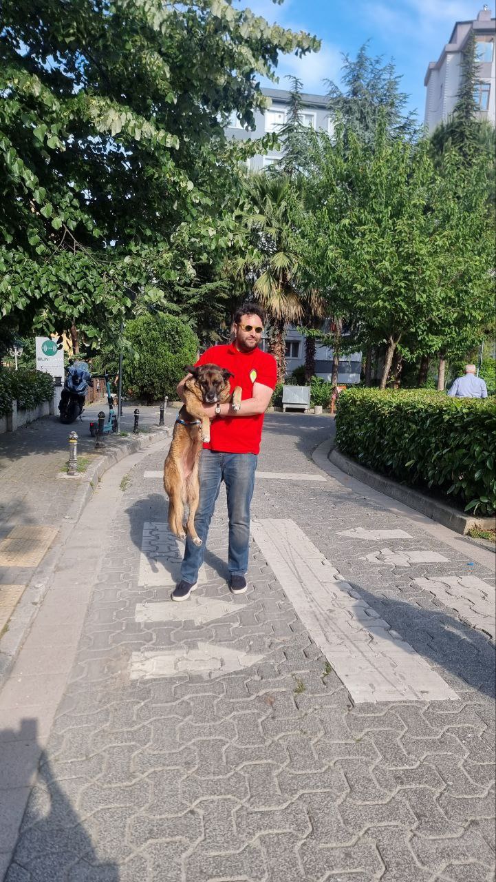 Hafızanın çalışması ve dejavu kuramı. 2 Temmuz 2025